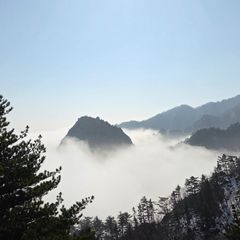 정은경 임대인의 프로필 이미지