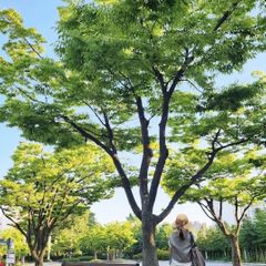 헤븐 임대인의 프로필 이미지