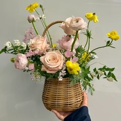 로렌 임대인의 프로필 이미지