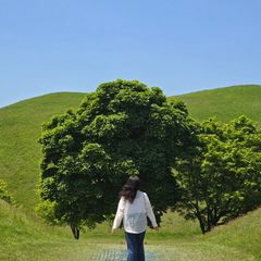 하랑 임대인의 프로필 이미지