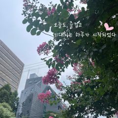 신득현 임대인의 프로필 이미지