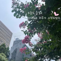 신득현 Landlord's Profile Image
