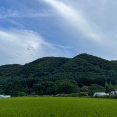 이가영 임대인의 프로필 이미지