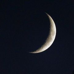 김영철 Landlord's Profile Image