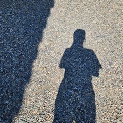 김선영 Landlord's Profile Image