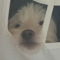 김윤민 임대인의 프로필 이미지