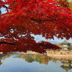 서촌경복궁 임대인의 프로필 이미지