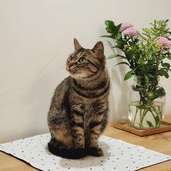 미부 임대인의 프로필 이미지