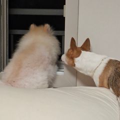 라라 Landlord's Profile Image