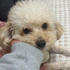 노혜영 임대인의 프로필 이미지