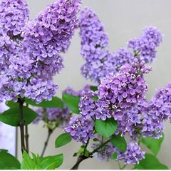 정티나 임대인의 프로필 이미지
