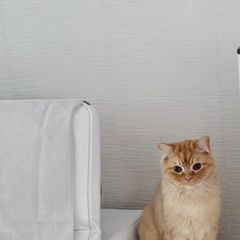 정나겸 임대인의 프로필 이미지