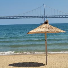 권나영 임대인의 프로필 이미지