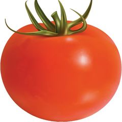 토마토 임대인의 프로필 이미지