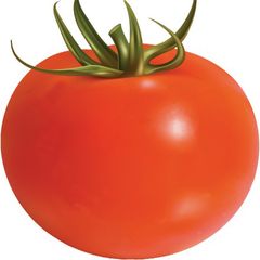 토마토 Landlord's Profile Image