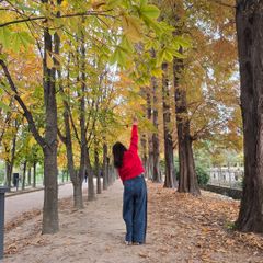 알렉스 임대인의 프로필 이미지