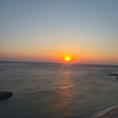 김영가 임대인의 프로필 이미지