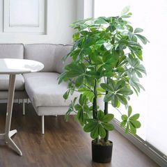 김창철 Landlord's Profile Image