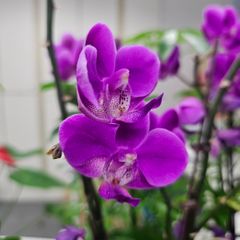 송요선 임대인의 프로필 이미지