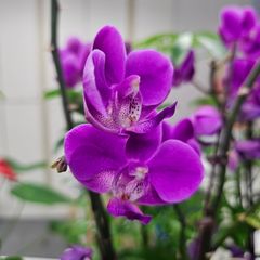 송요선 임대인의 프로필 이미지