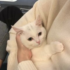 Jonas 임대인의 프로필 이미지