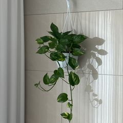 온정성 임대인의 프로필 이미지