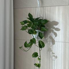 온정성 임대인의 프로필 이미지