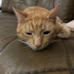 편안한 단기임대 Landlord's Profile Image
