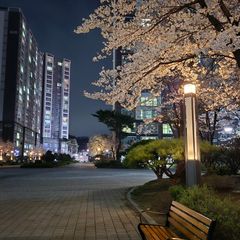 여니 임대인의 프로필 이미지