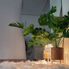 황샘결 임대인의 프로필 이미지