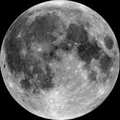 Moon 임대인의 프로필 이미지