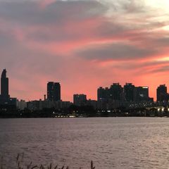 No Vacancy 임대인의 프로필 이미지