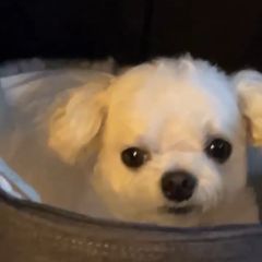 남형주 임대인의 프로필 이미지