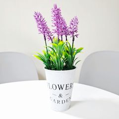 햇살한스푼 Landlord's Profile Image