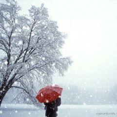 윤미영 Landlord's Profile Image