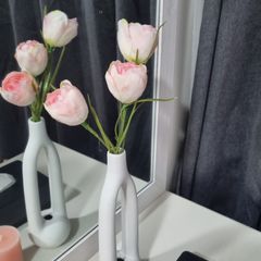 장금순 임대인의 프로필 이미지