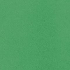 달피 임대인의 프로필 이미지