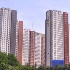 김다정 임대인의 프로필 이미지