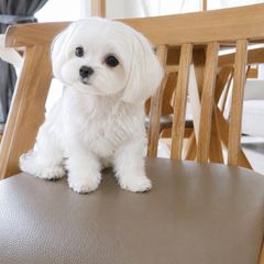 정지원 Landlord's Profile Image