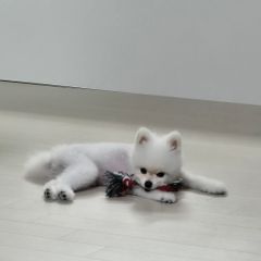 박수임 임대인의 프로필 이미지