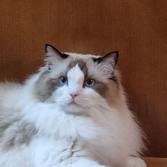 김지영 임대인의 프로필 이미지