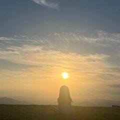 양종모 Landlord's Profile Image