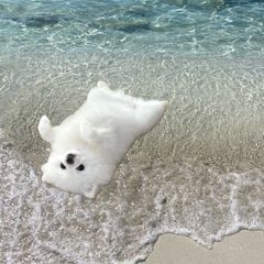 Hwan 임대인의 프로필 이미지