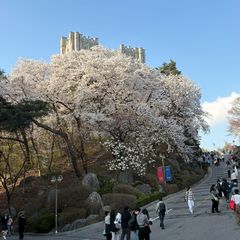 김민서 임대인의 프로필 이미지