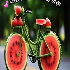 홍미정 Landlord's Profile Image