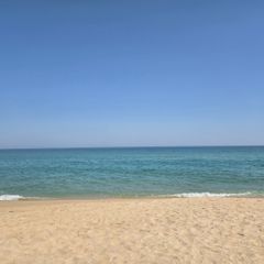 SEMI 임대인의 프로필 이미지