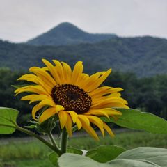 혀니 임대인의 프로필 이미지