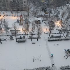보리야 임대인의 프로필 이미지