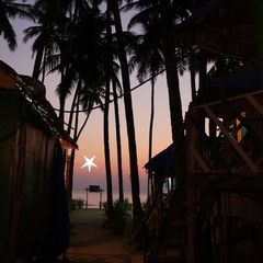 sun Landlord's Profile Image