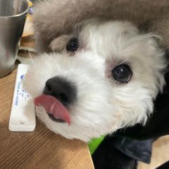이화자 임대인의 프로필 이미지